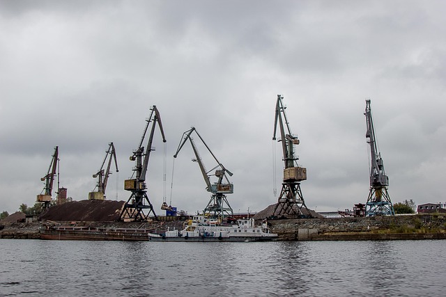 software development