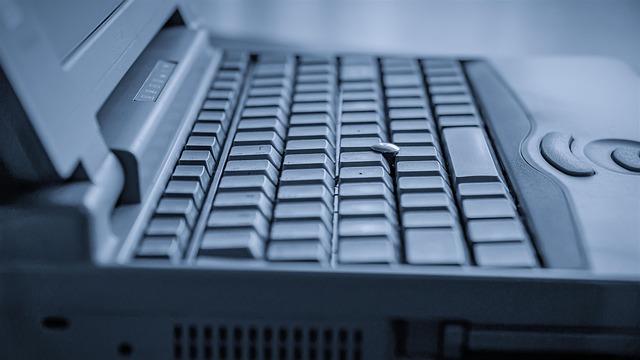 software development