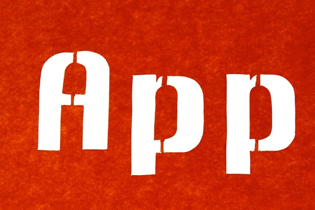 software development