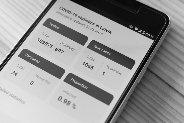 software development